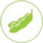 Soy / Soya